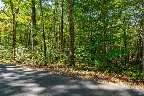 Tiny photo for 615 Stoney Run Road, Buena Vista, VA 24416 (MLS # 362213)