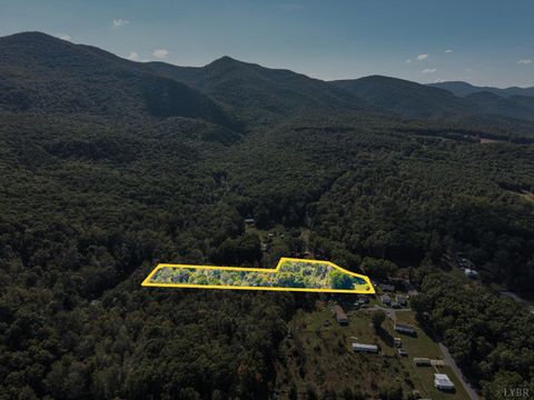 Tiny photo for 615 Stoney Run Road, Buena Vista, VA 24416 (MLS # 362213)