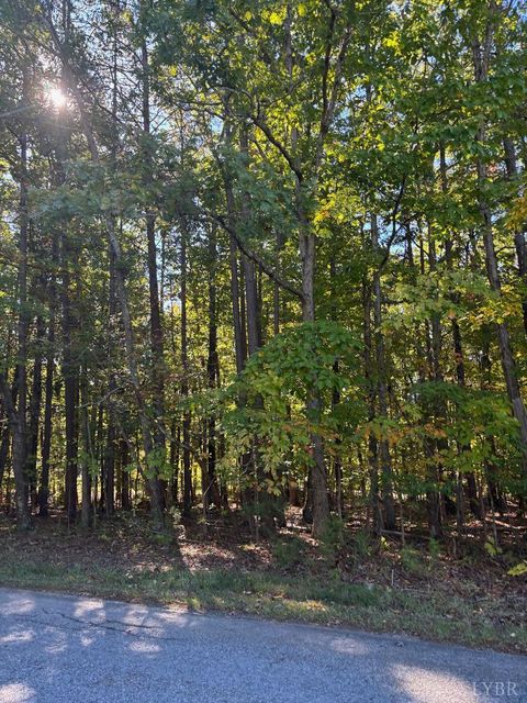 Photo of 0 Hawkins Road, Evington, VA 24550 (MLS # 362534)