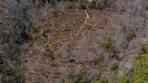 Tiny photo for 0 Norwood Road, Gladstone, VA 24553 (MLS # 362273)