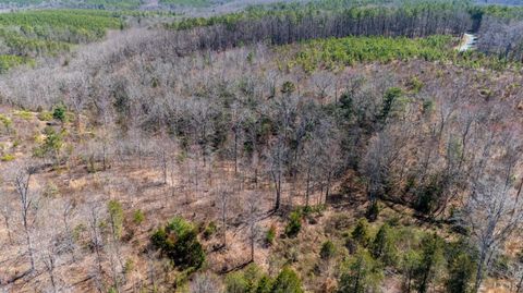 Tiny photo for 0 Norwood Road, Gladstone, VA 24553 (MLS # 362273)