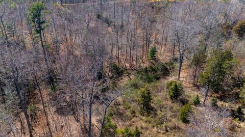 Tiny photo for 0 Norwood Road, Gladstone, VA 24553 (MLS # 362273)