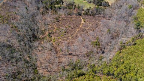 Tiny photo for 0 Norwood Road, Gladstone, VA 24553 (MLS # 362273)