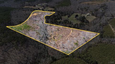 Tiny photo for 0 Norwood Road, Gladstone, VA 24553 (MLS # 362273)