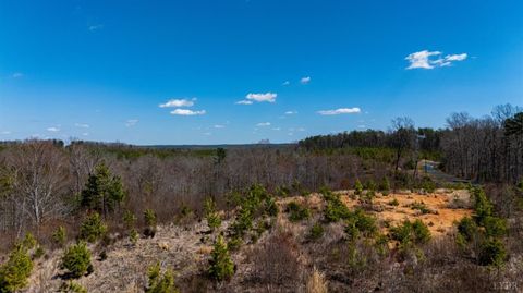 Tiny photo for 0 Norwood Road, Gladstone, VA 24553 (MLS # 362273)