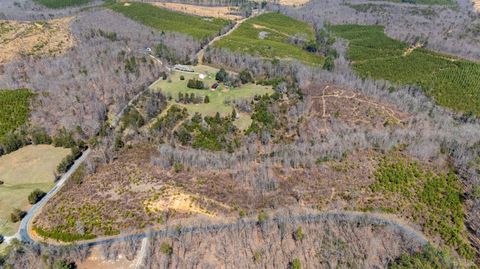 Tiny photo for 0 Norwood Road, Gladstone, VA 24553 (MLS # 362273)