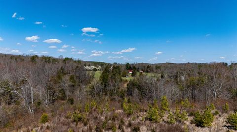 Tiny photo for 0 Norwood Road, Gladstone, VA 24553 (MLS # 362273)