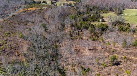 Tiny photo for 0 Norwood Road, Gladstone, VA 24553 (MLS # 362273)