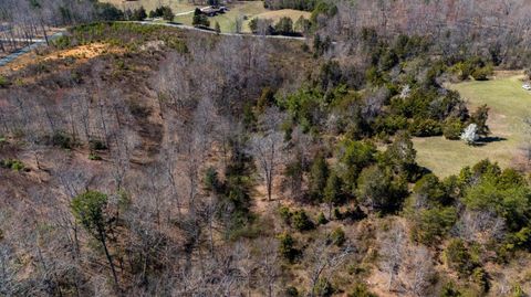 Tiny photo for 0 Norwood Road, Gladstone, VA 24553 (MLS # 362273)