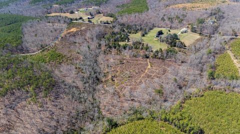 Tiny photo for 0 Norwood Road, Gladstone, VA 24553 (MLS # 362273)