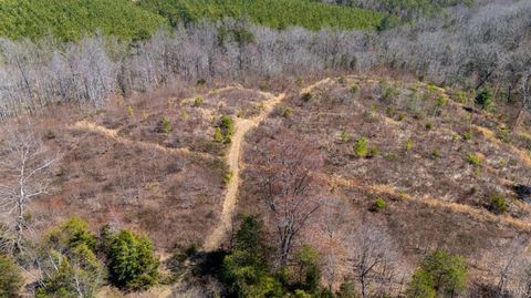 Tiny photo for 0 Norwood Road, Gladstone, VA 24553 (MLS # 362273)