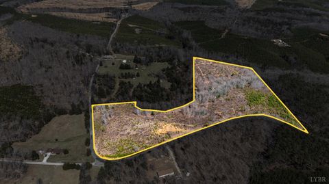 Tiny photo for 0 Norwood Road, Gladstone, VA 24553 (MLS # 362273)