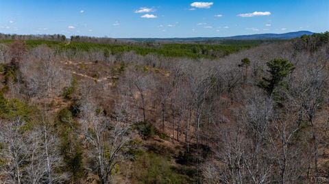 Tiny photo for 0 Norwood Road, Gladstone, VA 24553 (MLS # 362273)