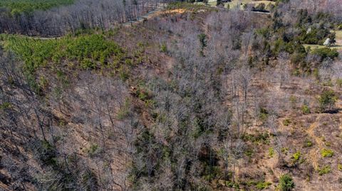 Tiny photo for 0 Norwood Road, Gladstone, VA 24553 (MLS # 362273)