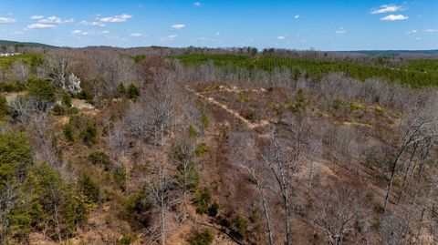 Tiny photo for 0 Norwood Road, Gladstone, VA 24553 (MLS # 362273)