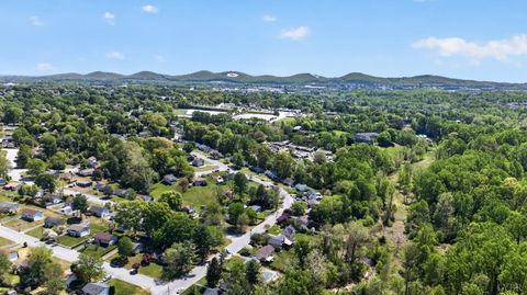 Tiny photo for 6308 Pawnee Drive, Lynchburg, VA 24502 (MLS # 365869)