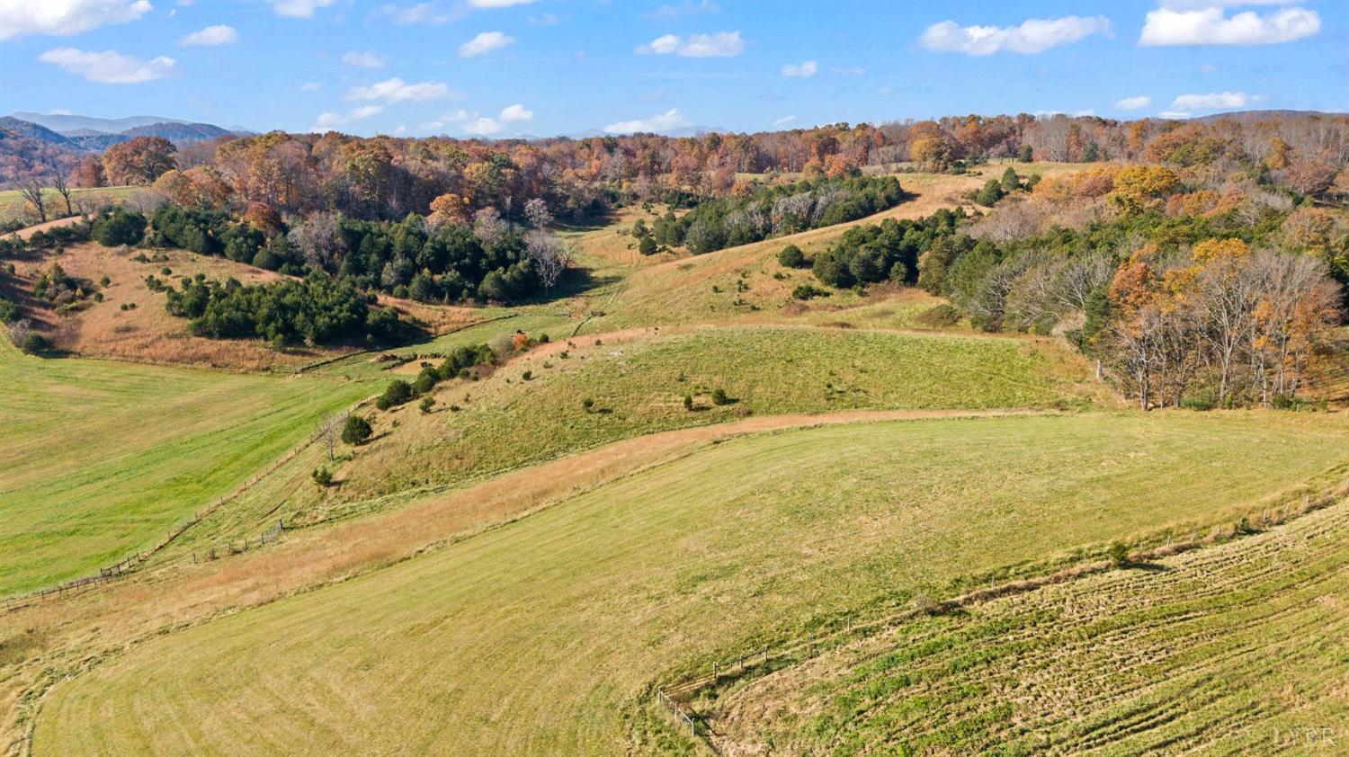 1213 Mount Joy Road, Buchanan, Virginia image 30