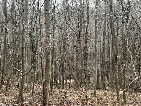 Vacant Land For Sale - 1 Bandy Mill  Rd<br/> Hardy, VA 24101