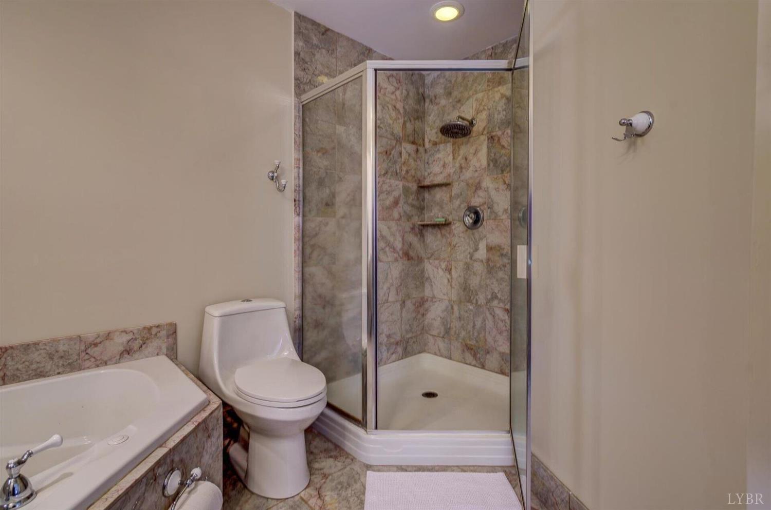 450 Holyfield Ln, Moneta, Virginia image 50