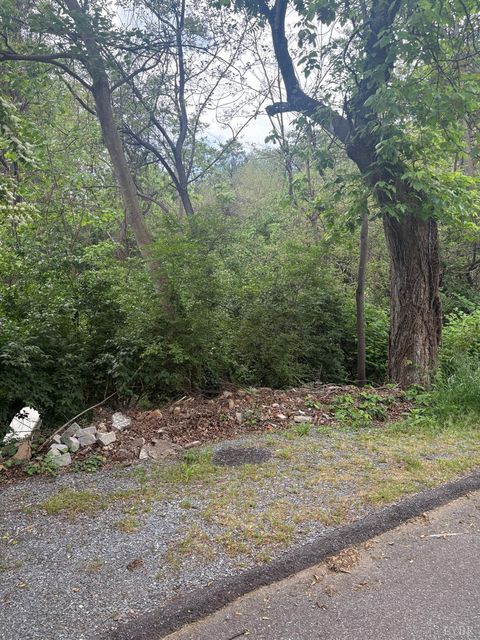 Tiny photo for 1719 Spencer Pl, Lynchburg, VA 24504 (MLS # 363221)