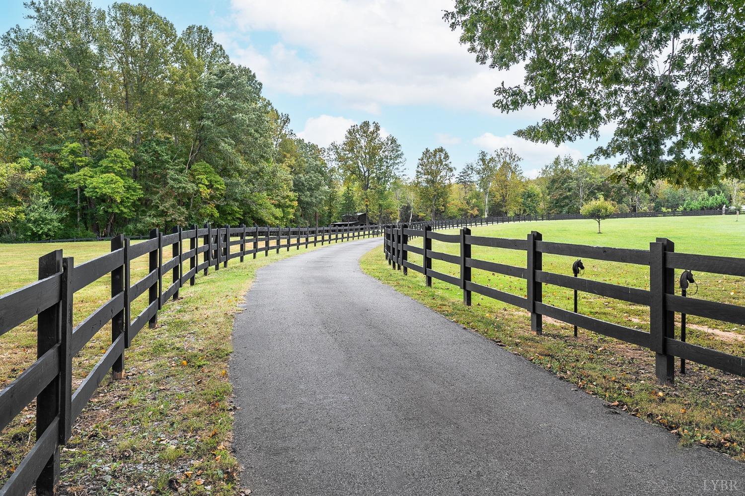 Mill Dam Lane, Forest, Virginia image 3