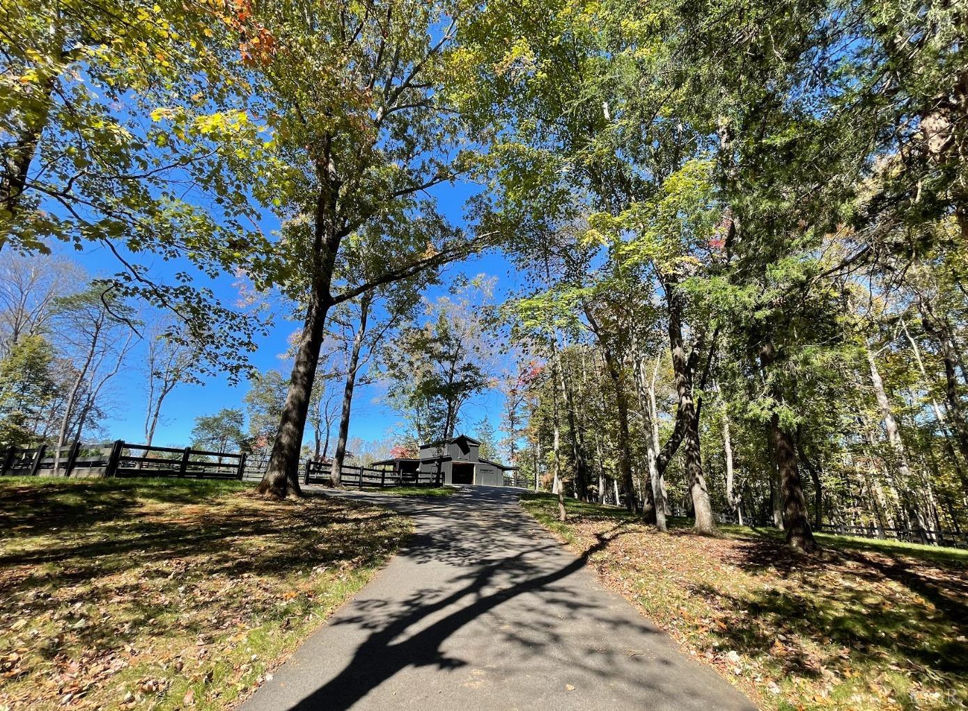 Mill Dam Lane, Forest, Virginia image 12