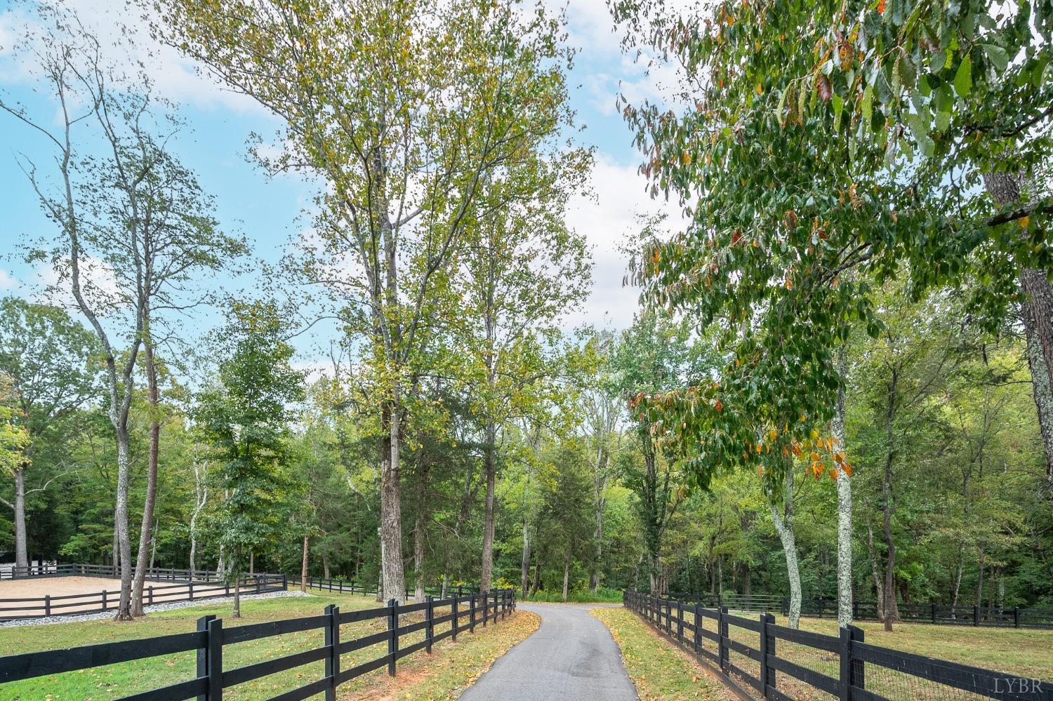 Mill Dam Lane, Forest, Virginia image 4