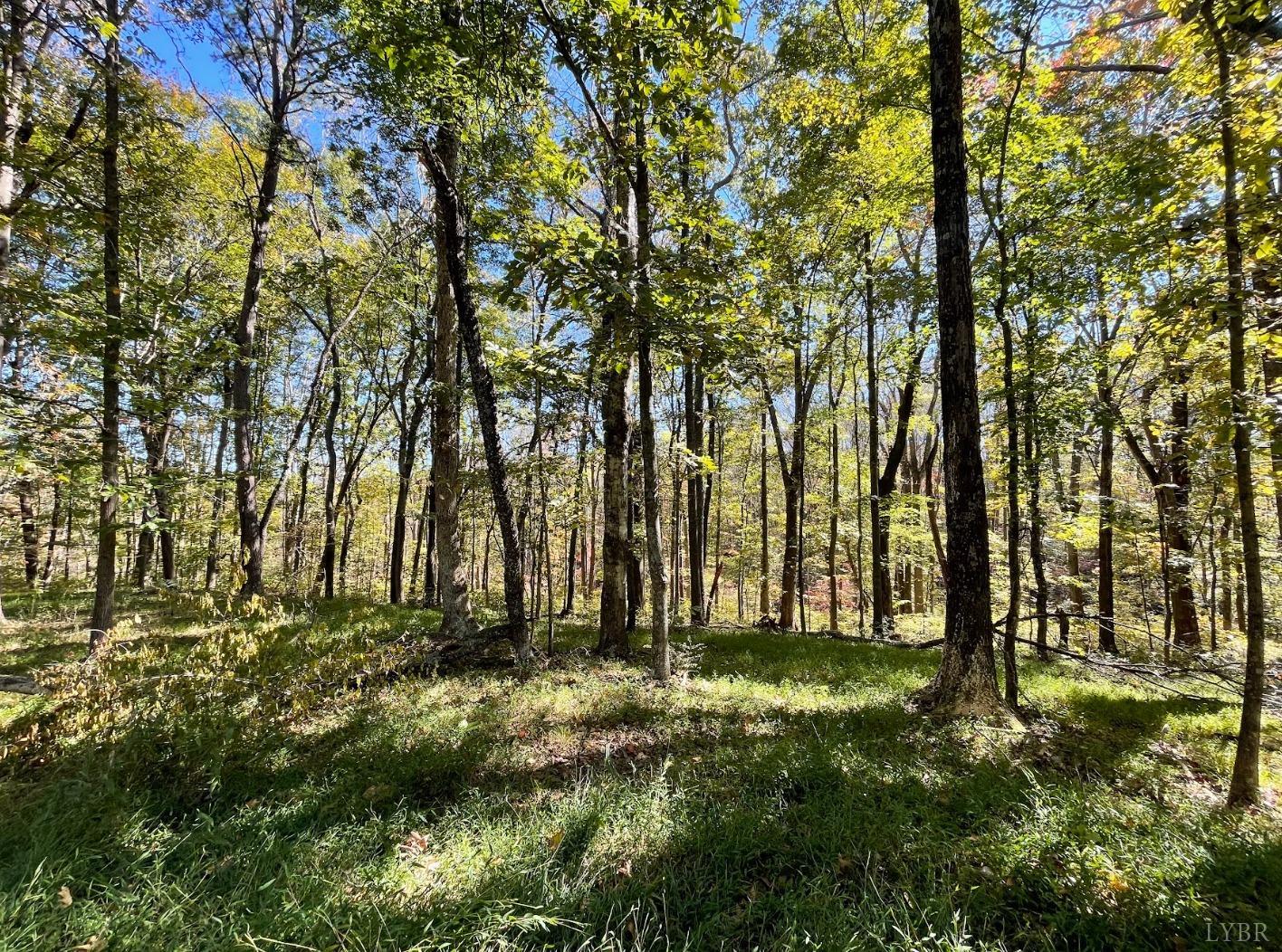 Mill Dam Lane, Forest, Virginia image 16