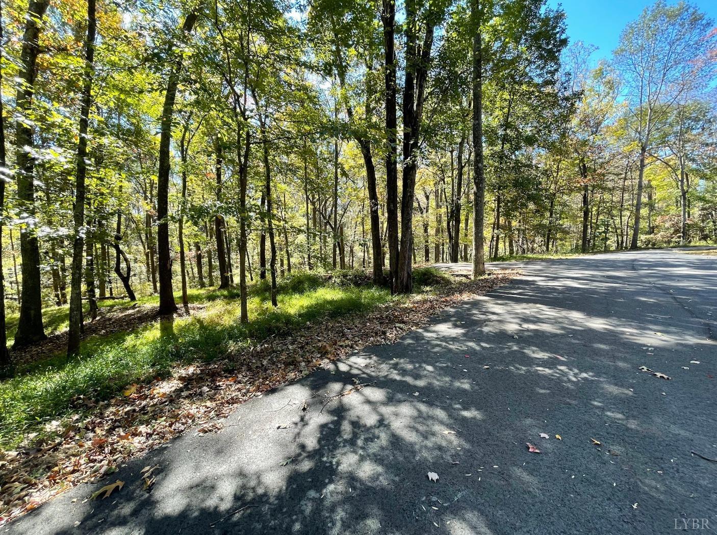 Mill Dam Lane, Forest, Virginia image 15