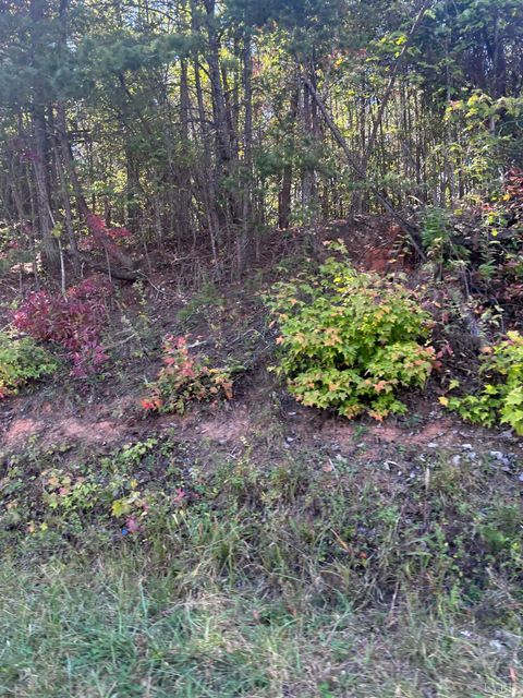 Tiny photo for 0 Gallows Road, Gretna, VA 24557 (MLS # 362538)
