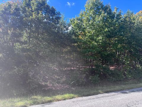 Tiny photo for 0 Gallows Road, Gretna, VA 24557 (MLS # 362538)