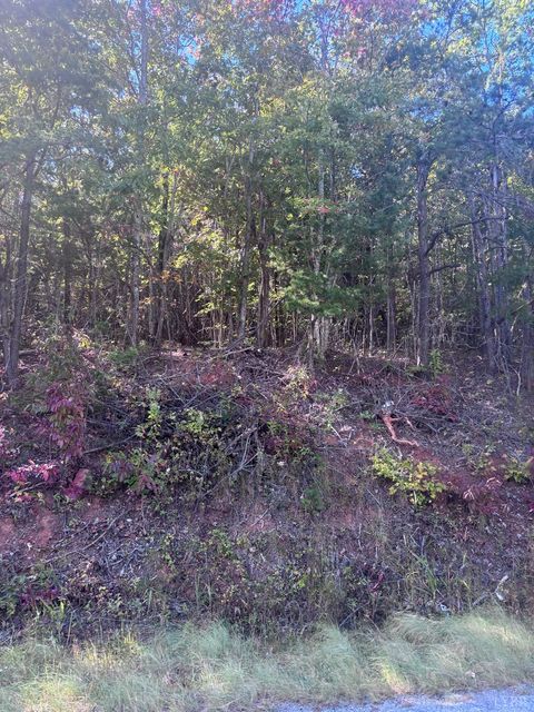 Tiny photo for 0 Gallows Road, Gretna, VA 24557 (MLS # 362538)