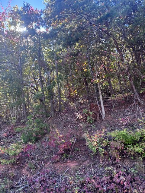 Tiny photo for 0 Gallows Road, Gretna, VA 24557 (MLS # 362538)