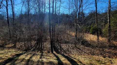 Tiny photo for 0 Watt Abbitt Road, Appomattox, VA 24522 (MLS # 364780)