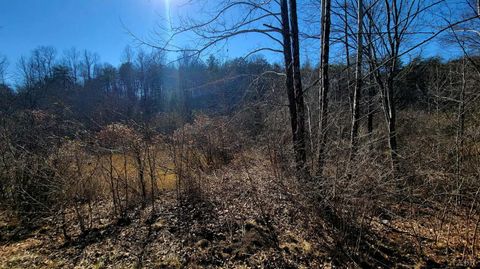 Tiny photo for 0 Watt Abbitt Road, Appomattox, VA 24522 (MLS # 364780)
