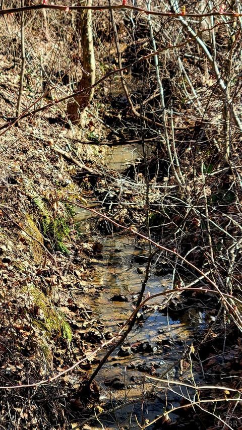 Tiny photo for 0 Watt Abbitt Road, Appomattox, VA 24522 (MLS # 364780)