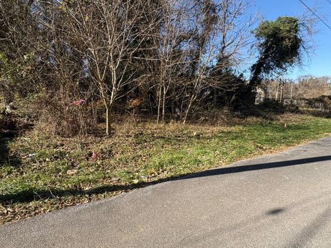 Tiny photo for 2009 Elm Street, Lynchburg, VA 24504 (MLS # 363172)