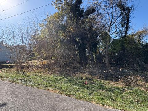 Photo of 2009 Elm Street, Lynchburg, VA 24504 (MLS # 363172)