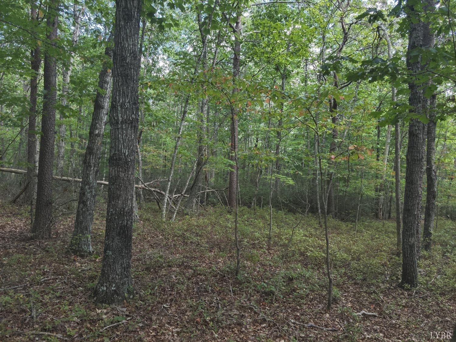 Lot 38/39 Trey Court, Madison Heights, Virginia image 4