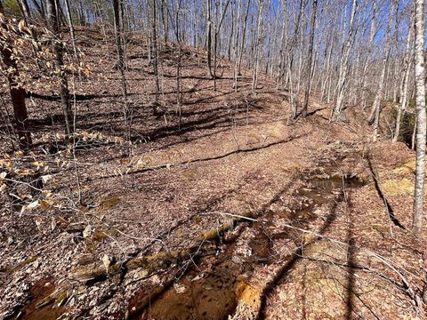 Tiny photo for 0 14528 Lee Jackson Hwy Hwy, Big Island, VA 24526 (MLS # 365006)