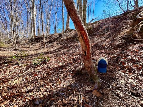 Tiny photo for 0 14528 Lee Jackson Hwy Hwy, Big Island, VA 24526 (MLS # 365006)