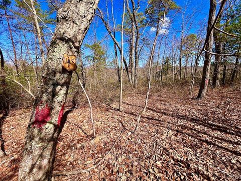 Tiny photo for 0 14528 Lee Jackson Hwy Hwy, Big Island, VA 24526 (MLS # 365006)