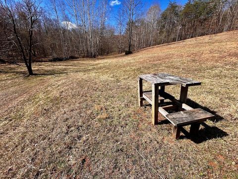 Tiny photo for 0 14528 Lee Jackson Hwy Hwy, Big Island, VA 24526 (MLS # 365006)