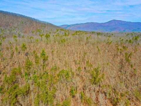 Tiny photo for 0 14528 Lee Jackson Hwy Hwy, Big Island, VA 24526 (MLS # 365006)