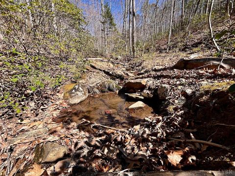 Tiny photo for 0 14528 Lee Jackson Hwy Hwy, Big Island, VA 24526 (MLS # 365006)