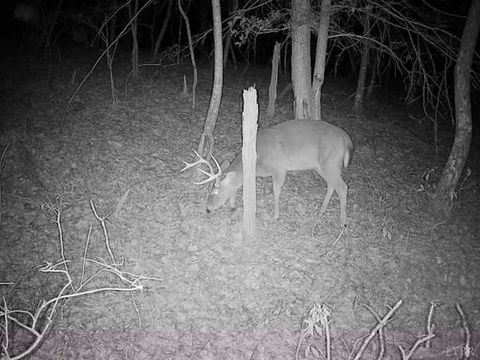 Tiny photo for 0 14528 Lee Jackson Hwy Hwy, Big Island, VA 24526 (MLS # 365006)