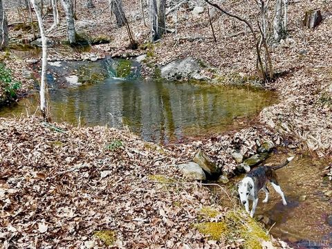 Tiny photo for 0 14528 Lee Jackson Hwy Hwy, Big Island, VA 24526 (MLS # 365006)