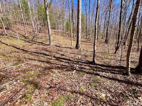 Tiny photo for 0 14528 Lee Jackson Hwy Hwy, Big Island, VA 24526 (MLS # 365006)