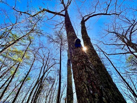 Tiny photo for 0 14528 Lee Jackson Hwy Hwy, Big Island, VA 24526 (MLS # 365006)