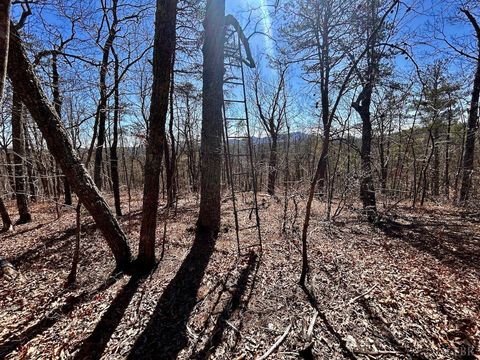 Tiny photo for 0 14528 Lee Jackson Hwy Hwy, Big Island, VA 24526 (MLS # 365006)